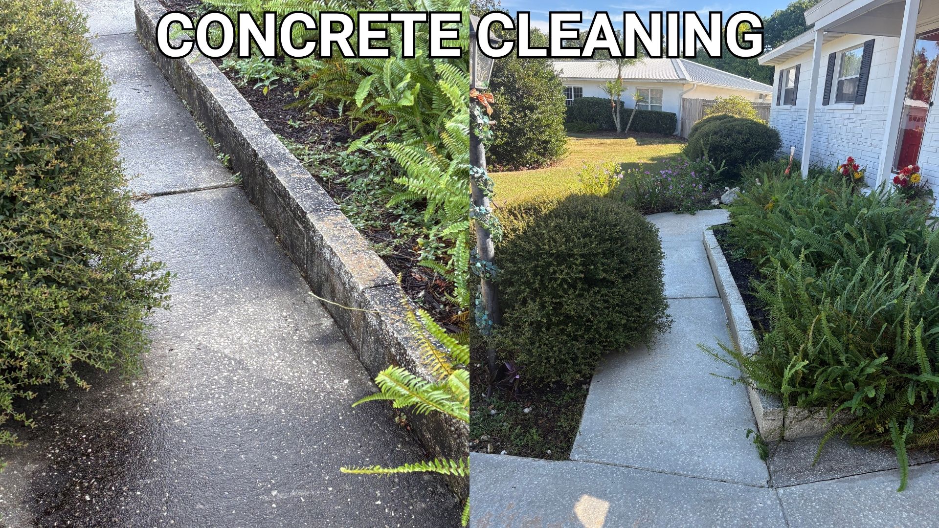 Side-by-side comparison of a concrete walkway before and after professional cleaning Side-by-side comparison of a concrete walkway before and after professional cleaning