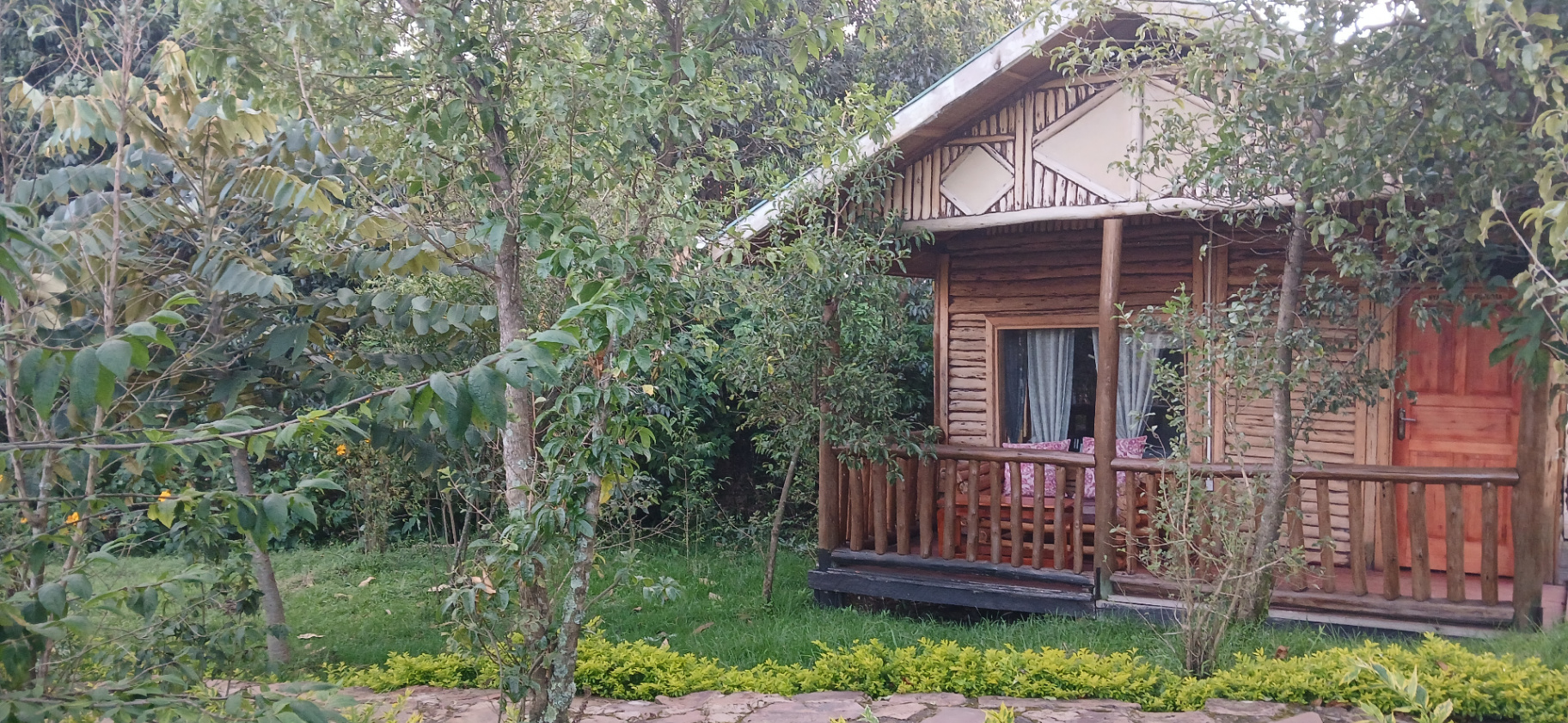 Family of Mountain Gorillas in Bwindi