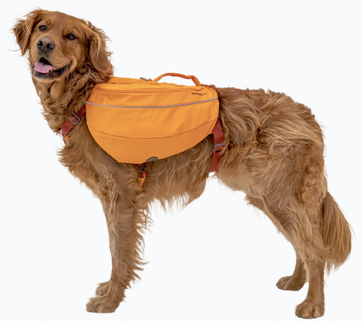 Ruffwear Approach