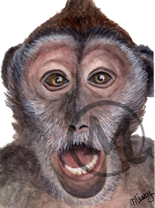 Surprised Monkey Watercolor Illustration