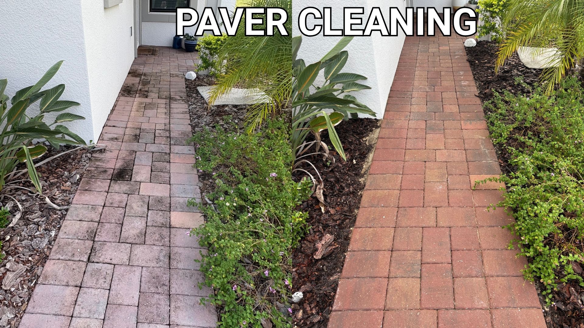 Side-by-side comparison of a paver walkway before and after professional cleaning