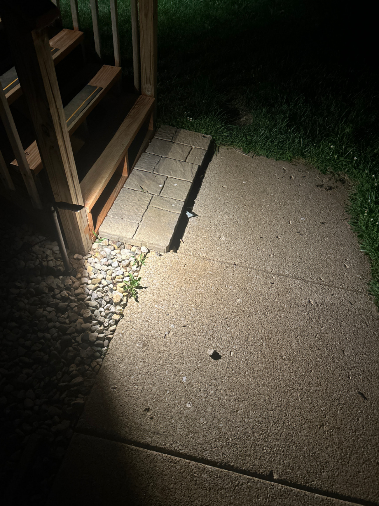 Nighttime view of a small outdoor stairway, paver landing, and concrete walkway illuminated by focused landscape lighting, highlighting safe access and trip hazards. Shadows define edges and textures, illustrating the need for custom low-voltage step and pathway lighting to increase visibility, safety, and curb appeal in this area.