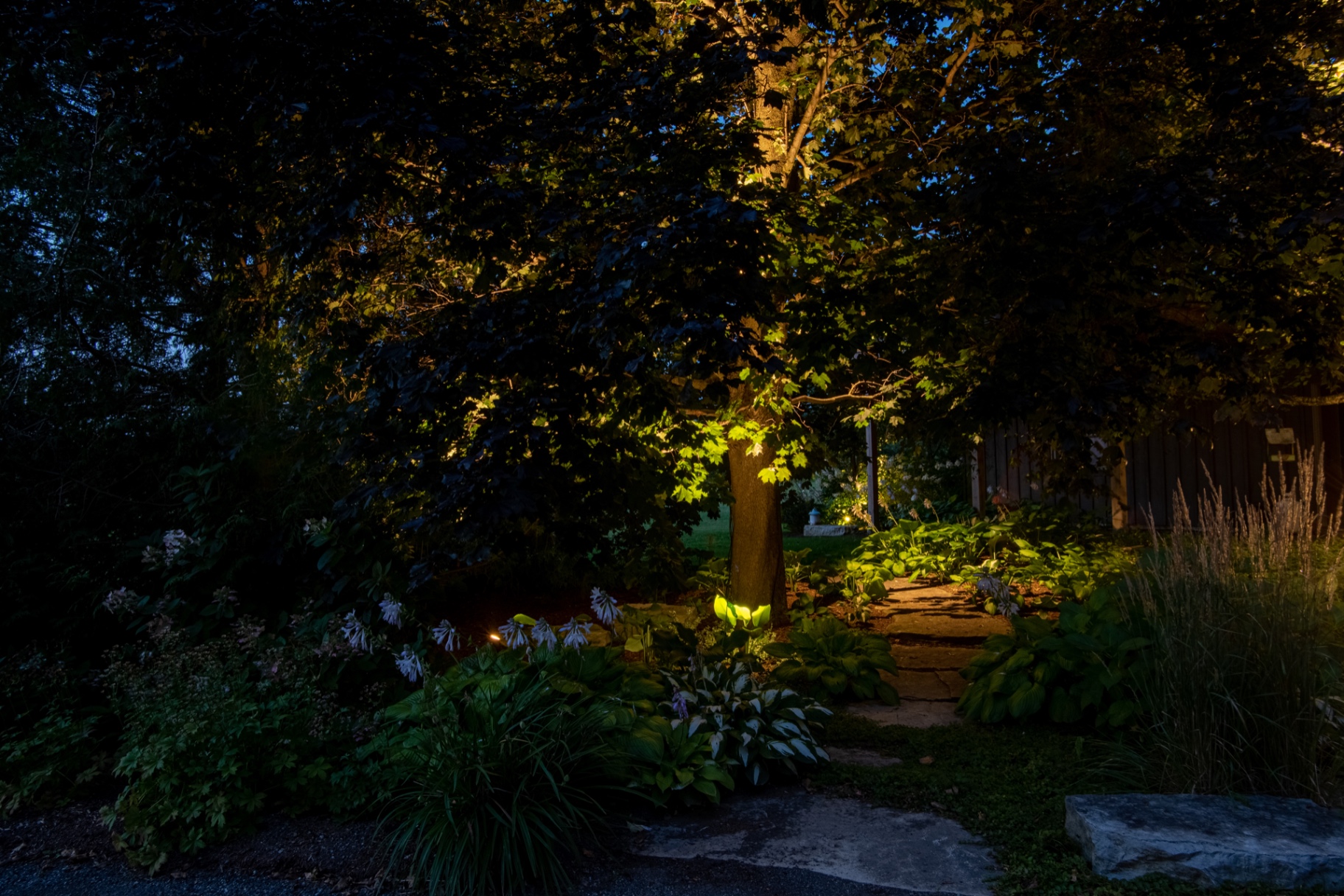 Layered landscape lighting design featuring pathway lights, tree uplighting, and wall wash lighting