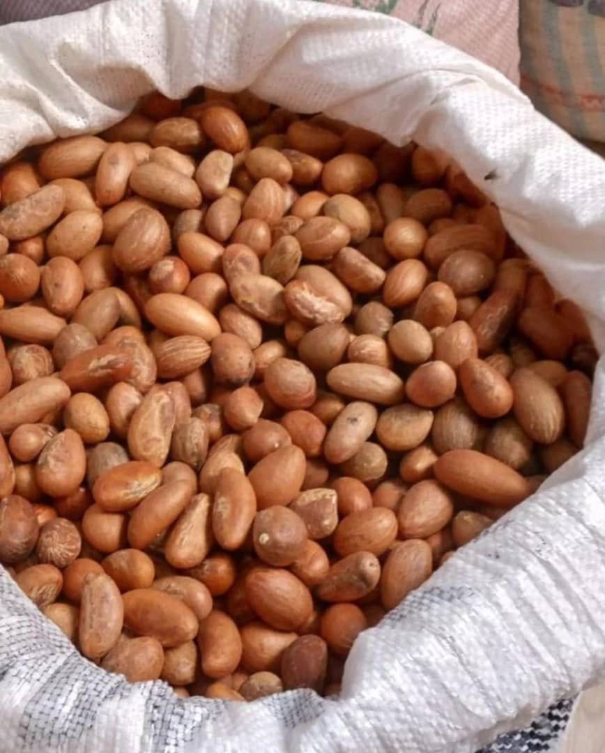 Freshly harvested tiger nuts in Nigeria