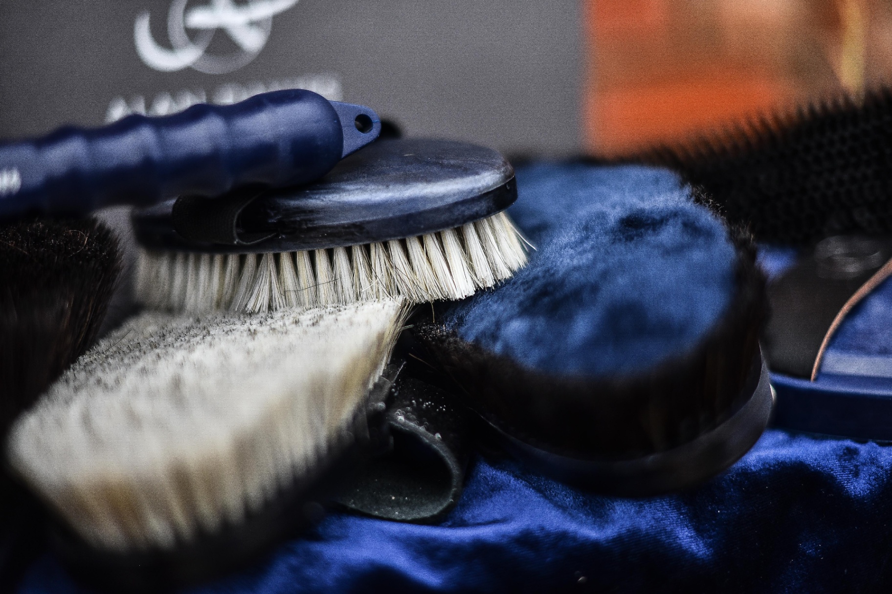 Eqclusive Equestrian Grooming Brushes