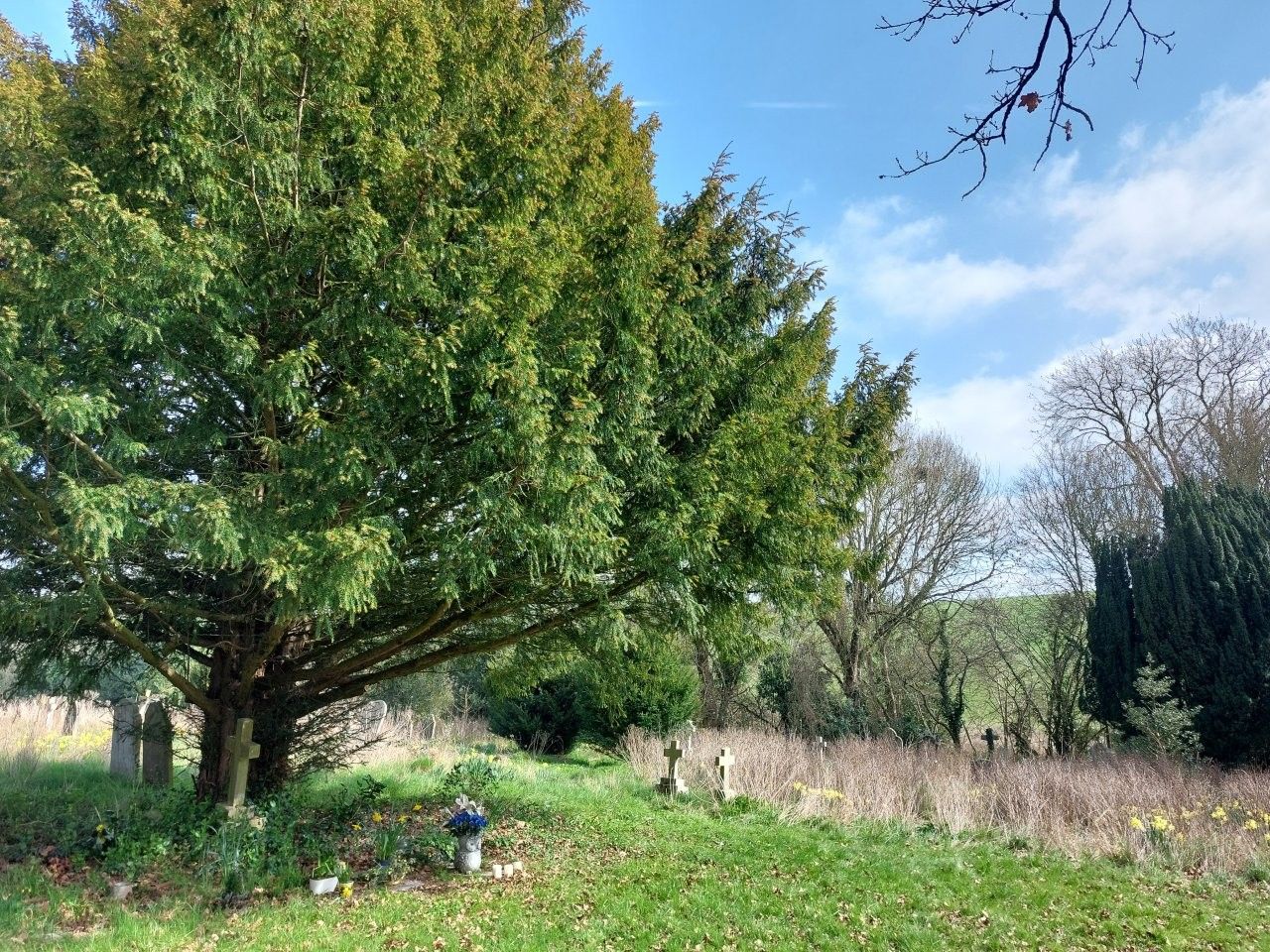 A quiet, grassy corner of the Wareside churchyard with headstones, offering a place for reflection.