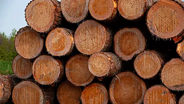 Installation d'une borne de recharge résidentielle moderne pour véhicule électrique au Québec.