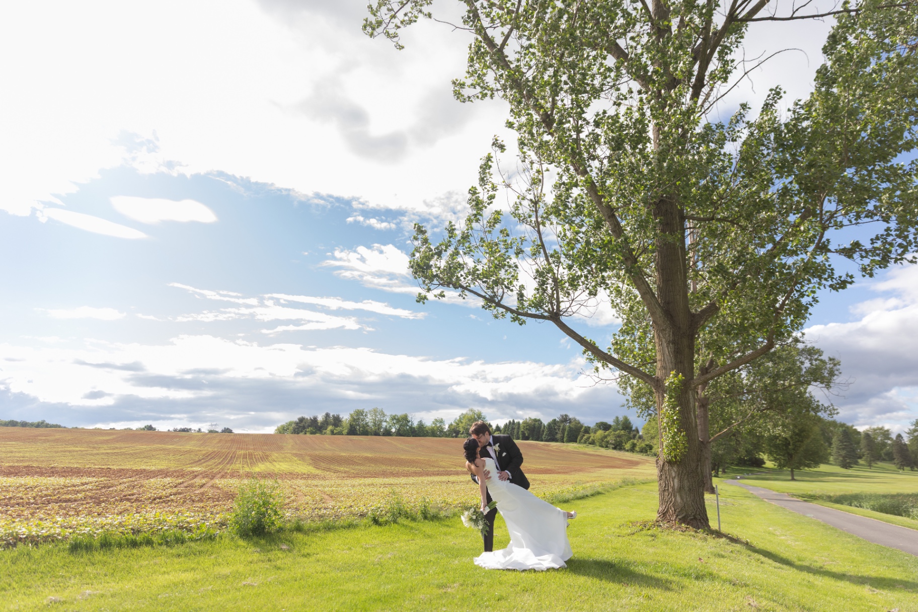 A bride and groom share a romantic dip and kiss under a large tree in warm sunlight