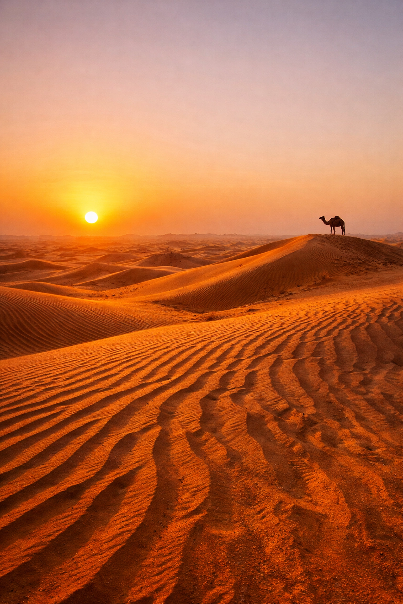 Golden hour travel photography tips illustrated by glowing orange sand dunes in the Dubai desert.
