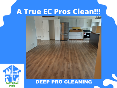 Bright, Spotless Kitchen and Living Area