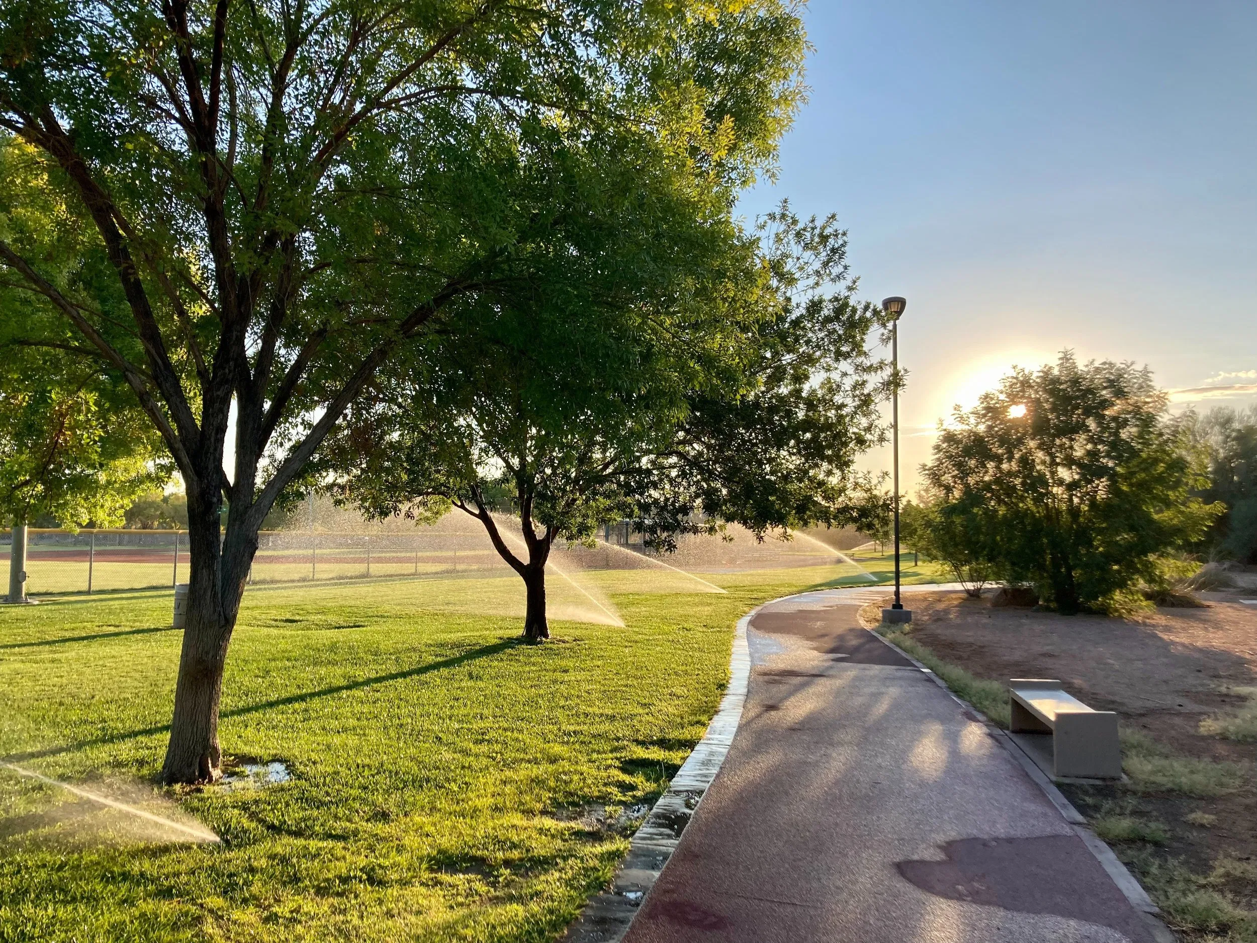 Irrigation system watering a park lawn at sunrise highlighting sustainable management