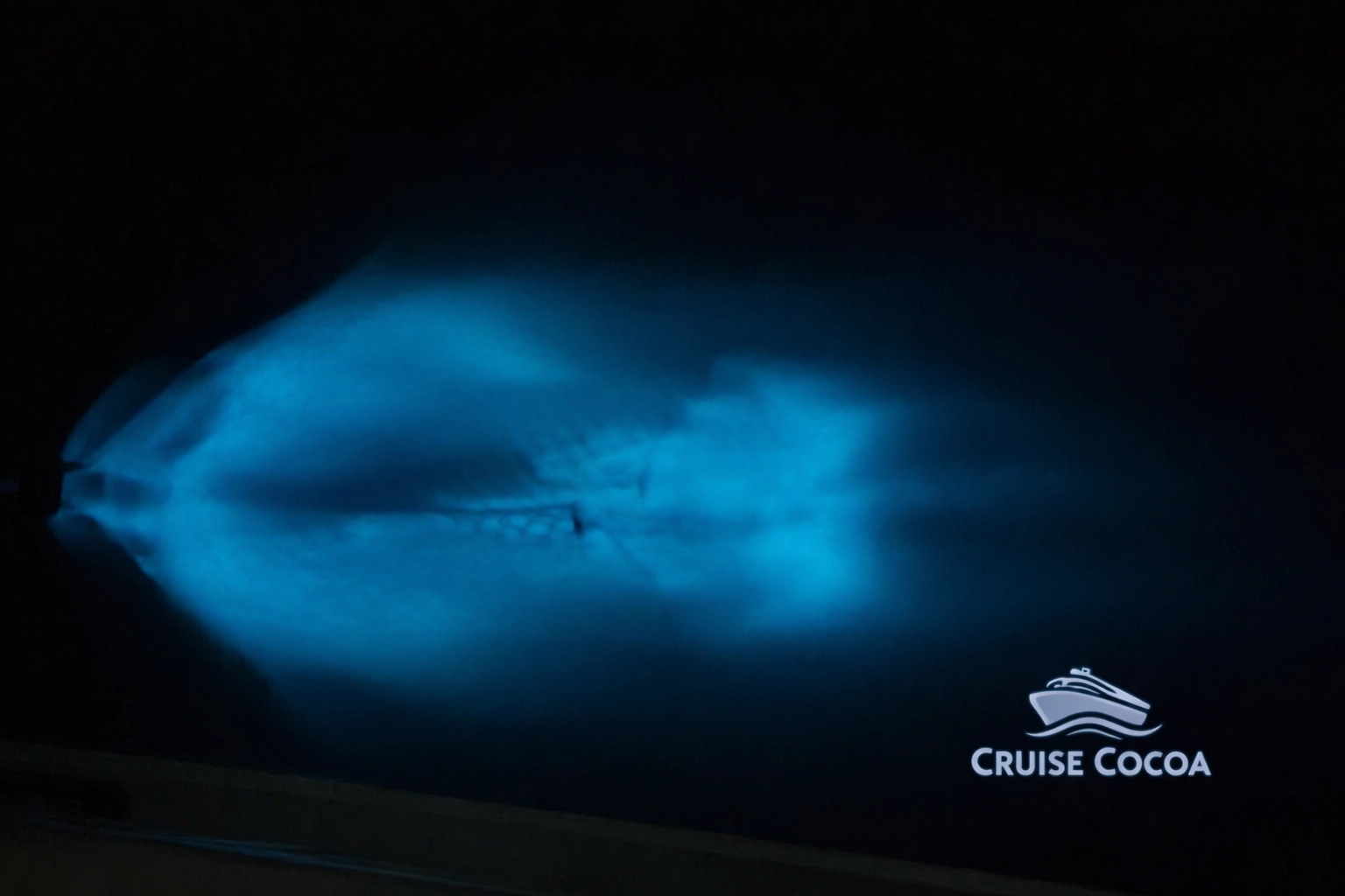 Bioluminescent Wake at Indian River Lagoon
