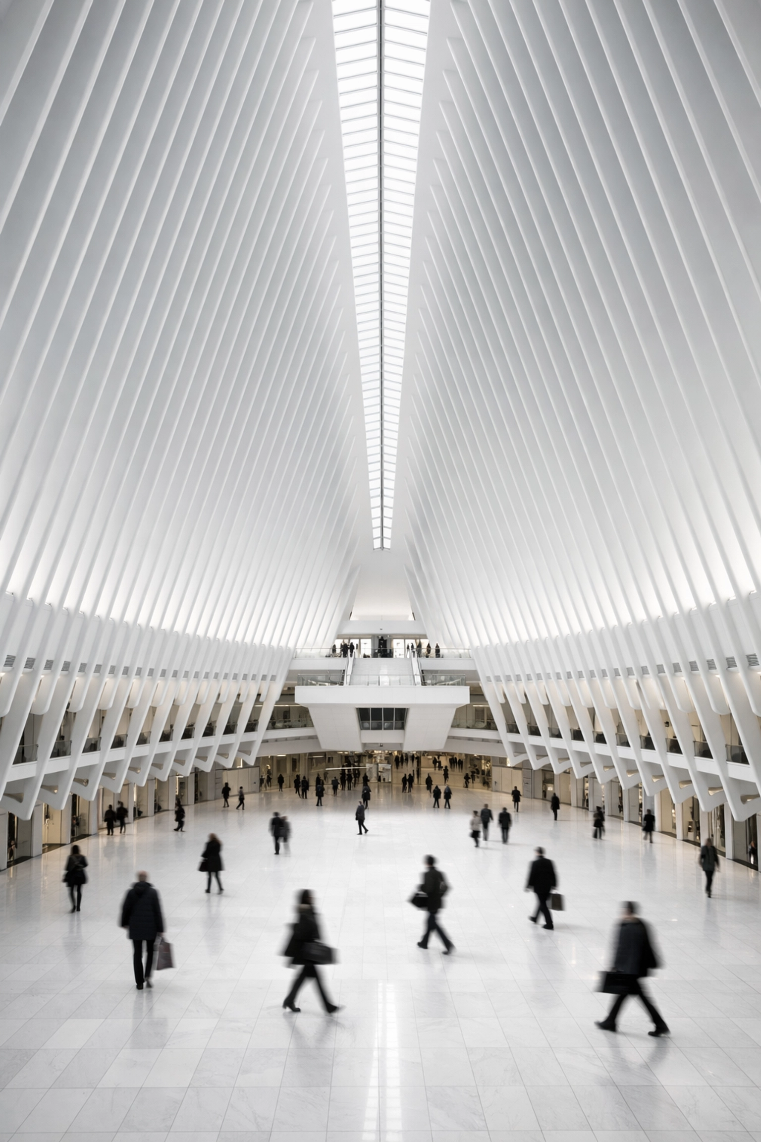 Minimalist architecture photography of the Oculus at World Trade Center featuring symmetrical white ribs.