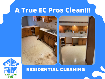 Easy Clean Pros Kitchen Cleaning Before and After