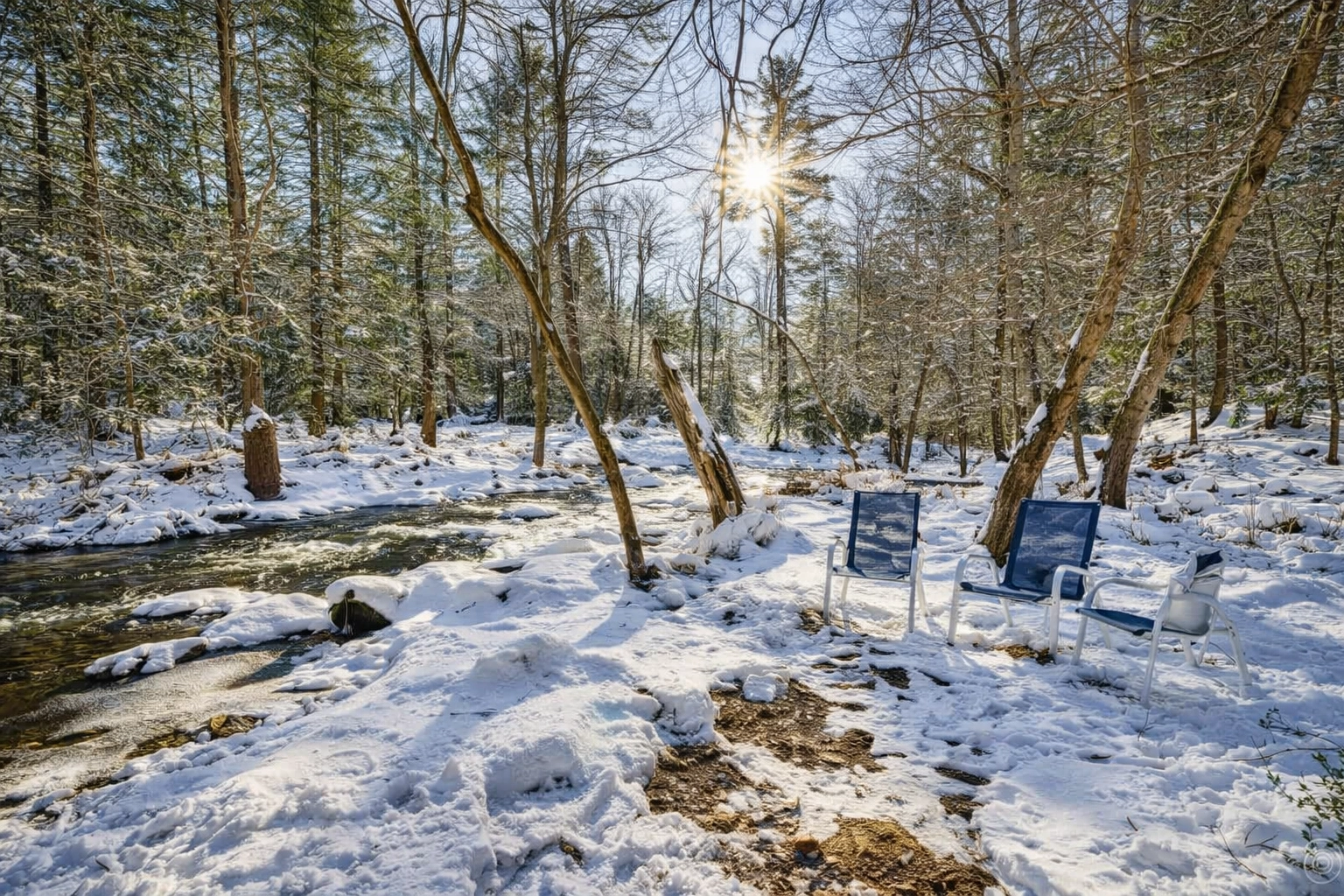 Private creek view at Bearly Roughing It