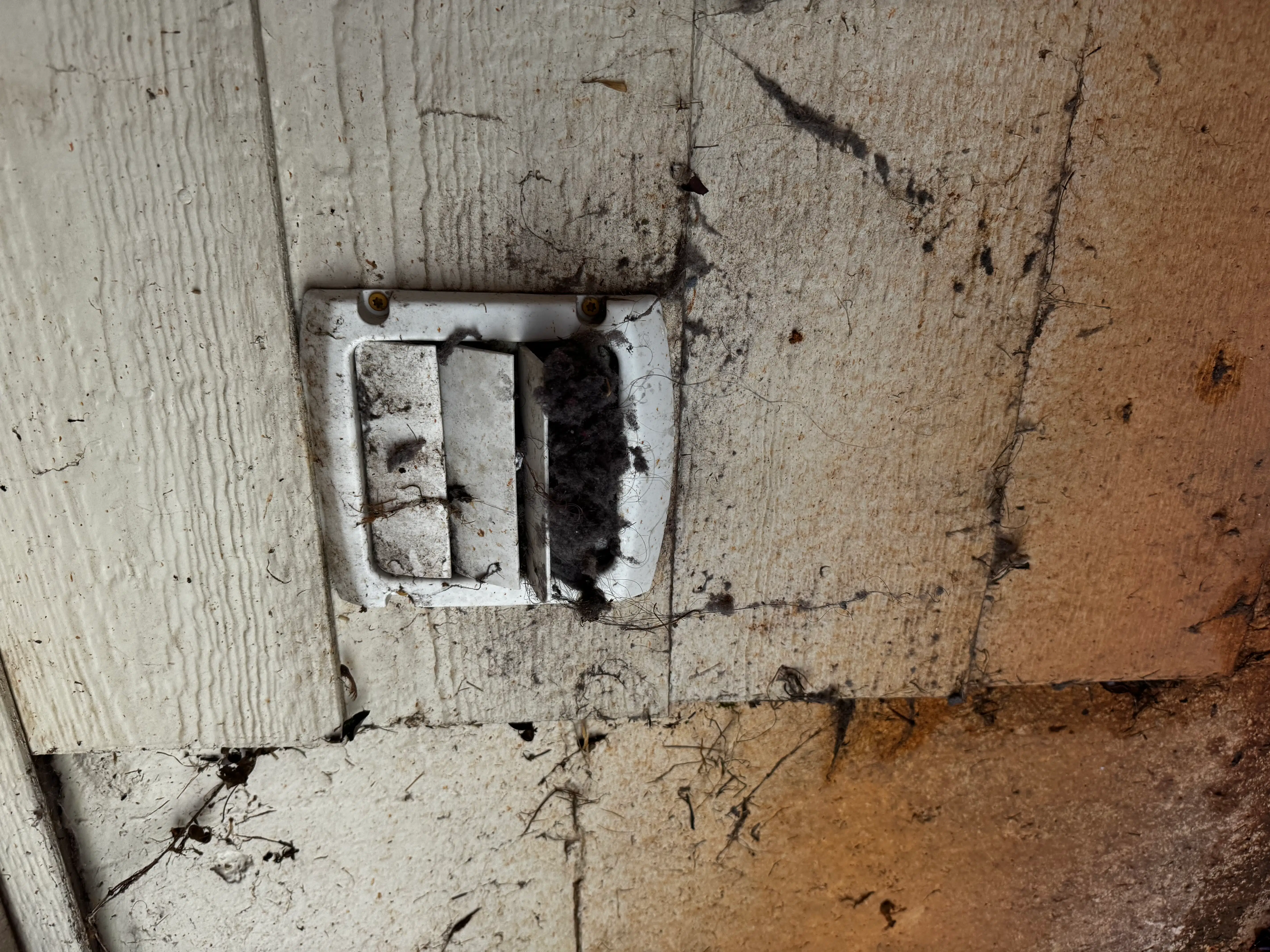 exterior-dryer-vent-clogged-lint-debris.webp