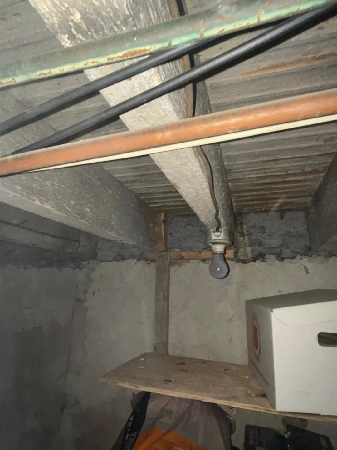 damp-basement-risks.webp