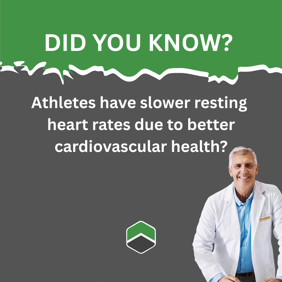 Educational Graphic: Athlete Cardiovascular Health