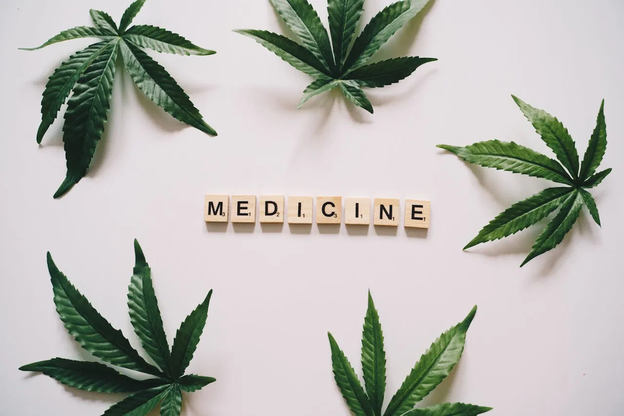 Cannabis leaves surrounding blocks that spell out 'MEDICINE', highlighting the medicinal and educational focus of modern cannabis.