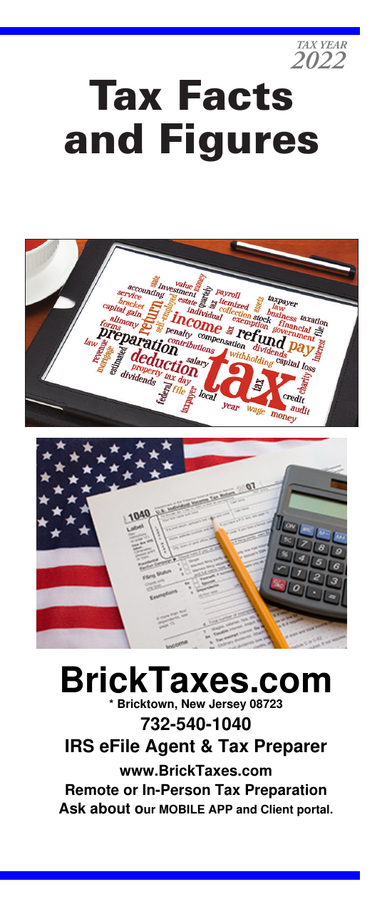 Brick Taxes LLC Flyer