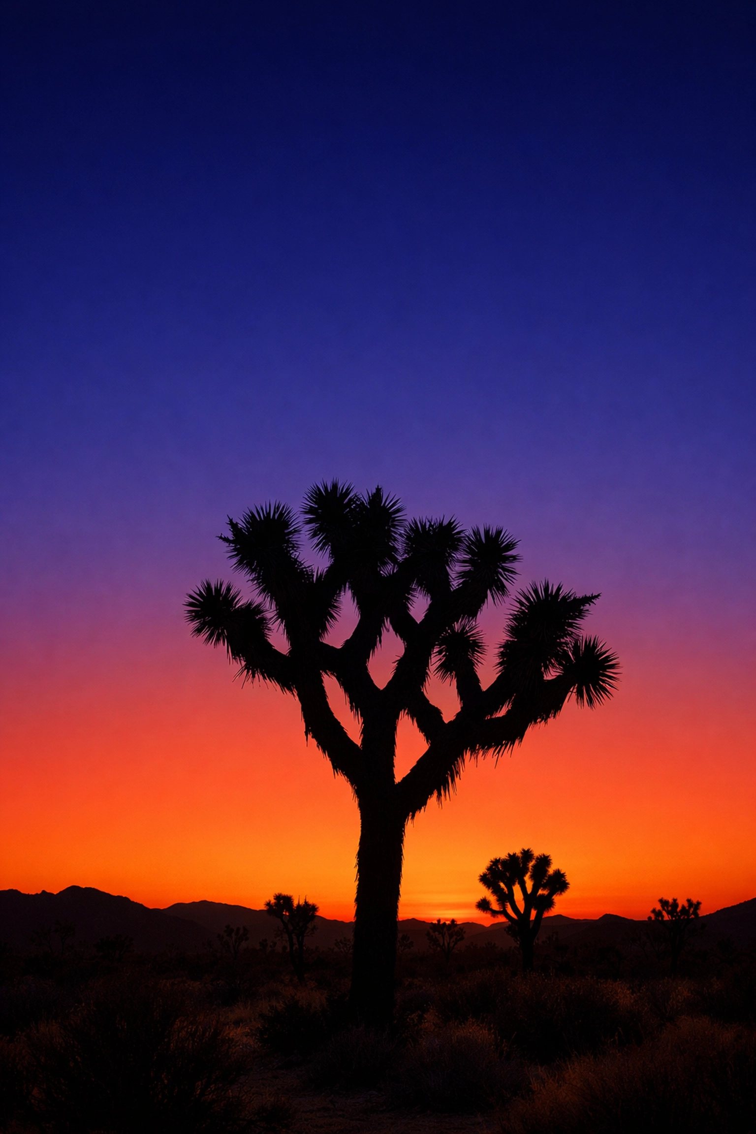 Smooth desert sunset gradient with no banding to illustrate professional image quality.