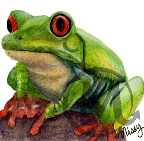 Missy’s ORIGINAL Elvy the Frog watercolor artwork displayed in an office-themed mockup frame with Missy’s watermark and signature clearly visible.