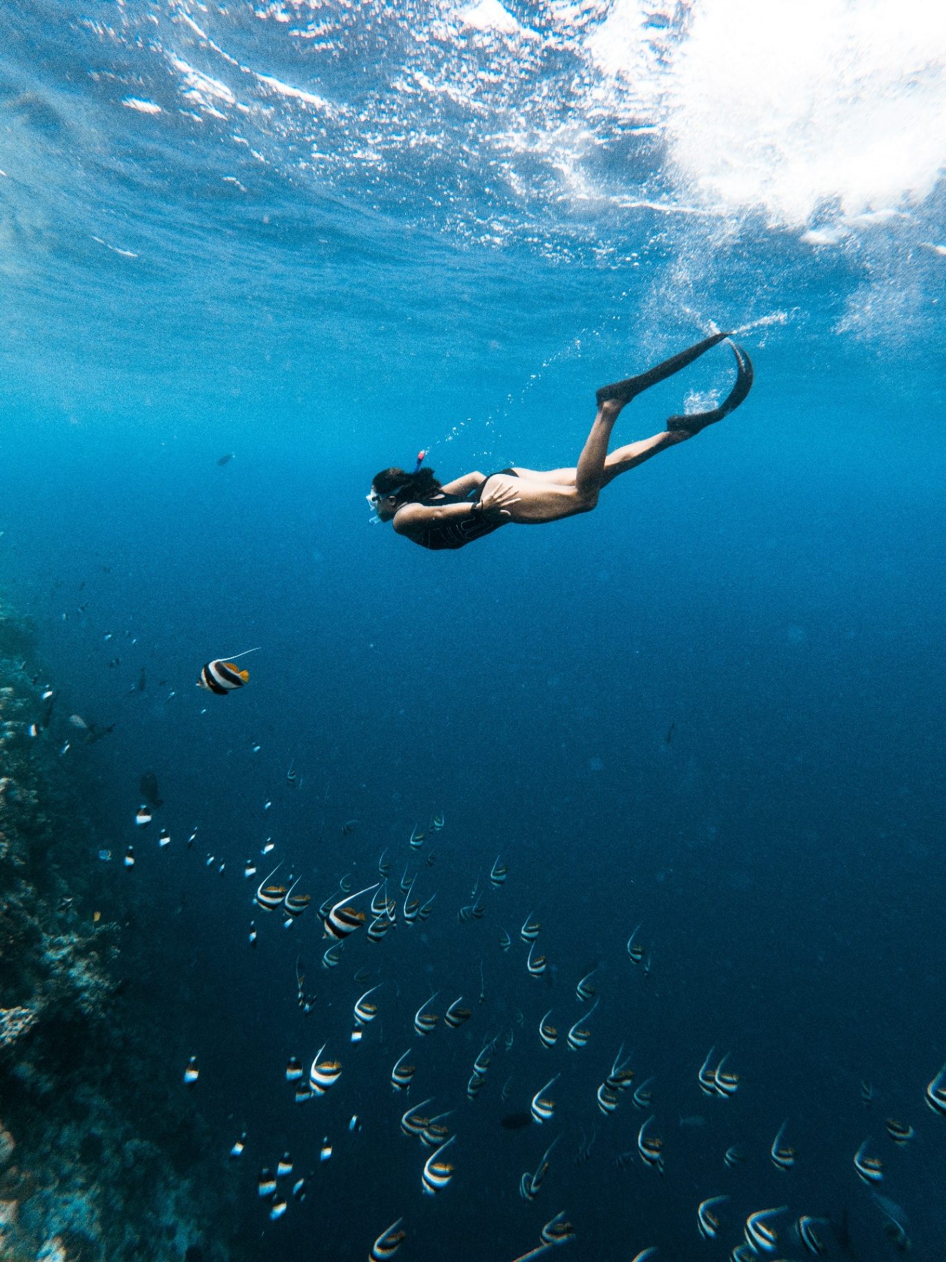 Snorkeling at Waikiki Beach