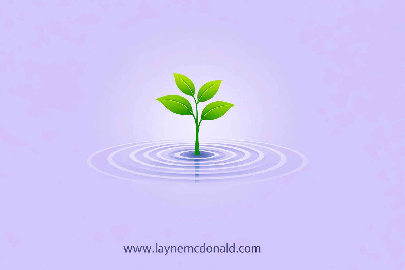 A green sapling growing from calm water, representing spiritual growth and healthy leadership in a church community.