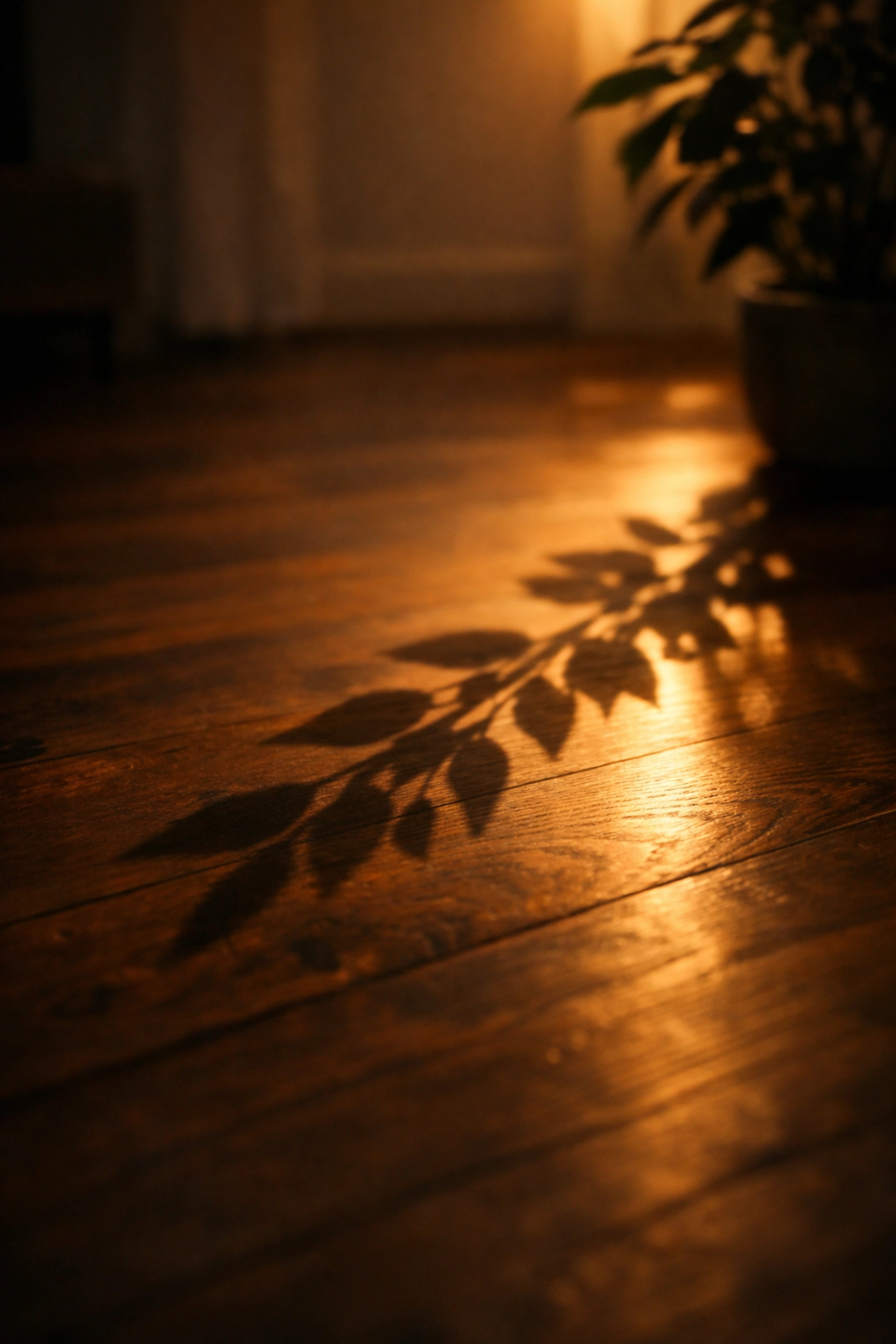 Warm sunlight on a wooden floor, evoking the peace and emotional support provided by a virtual doula.