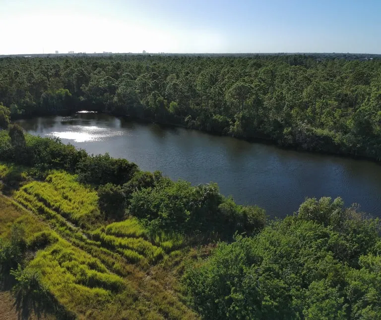 High-resolution aerial image showcasing a distinct boundary between a lush, forested region and a winding body of water