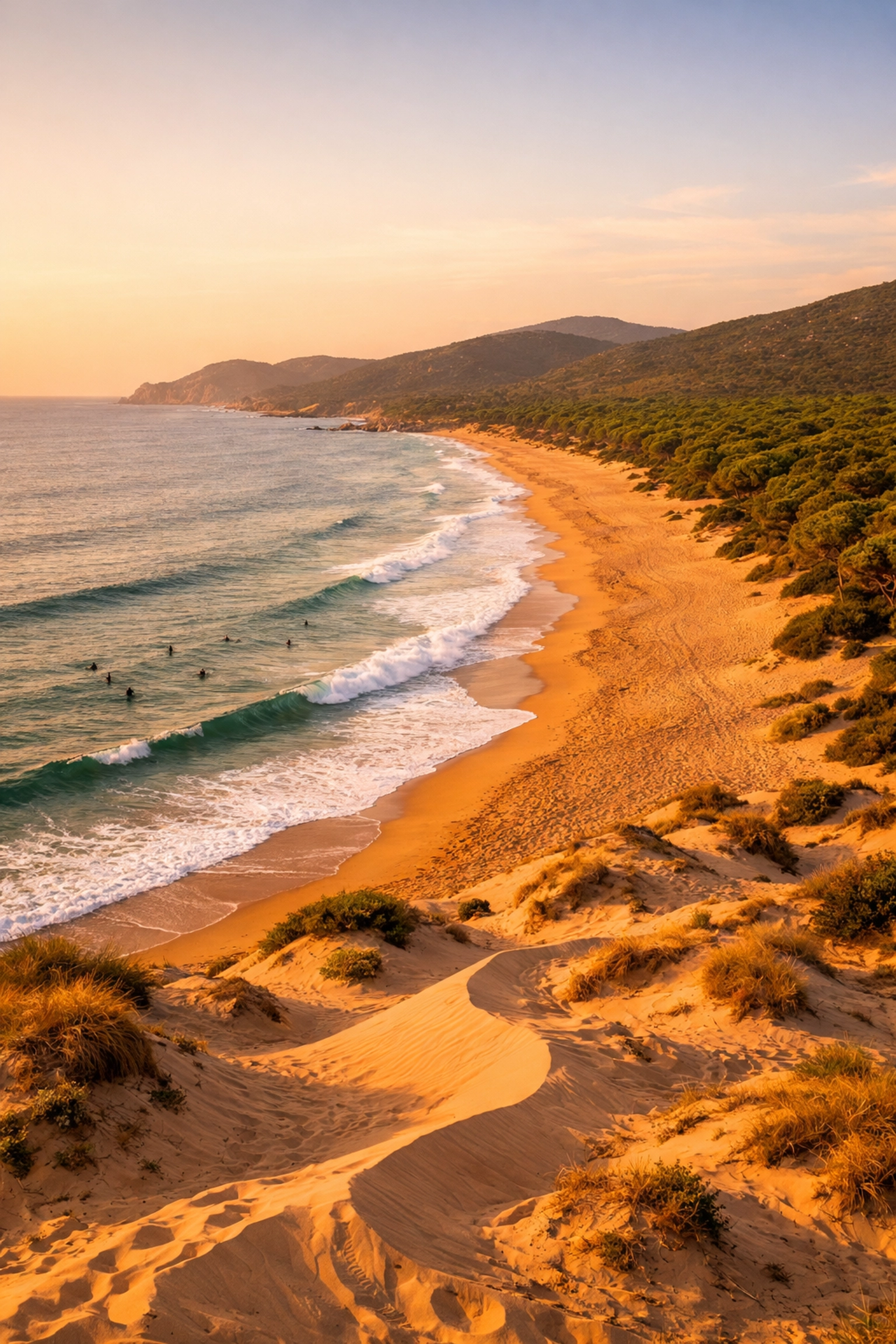 Porto Ferro Beach Sardinia with amber sand, surfers and pine forest at sunset