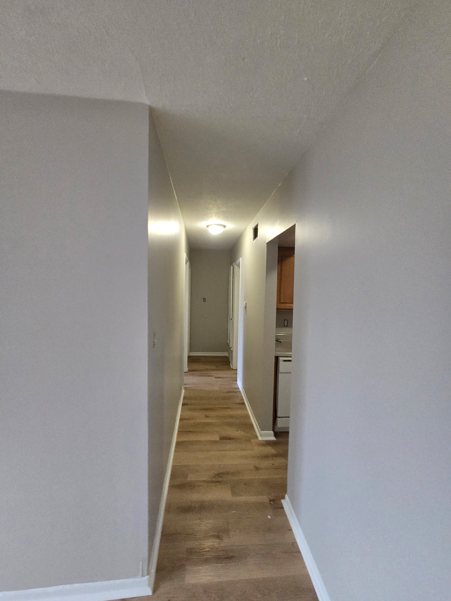 Freshly Renovated Apartment Hallway