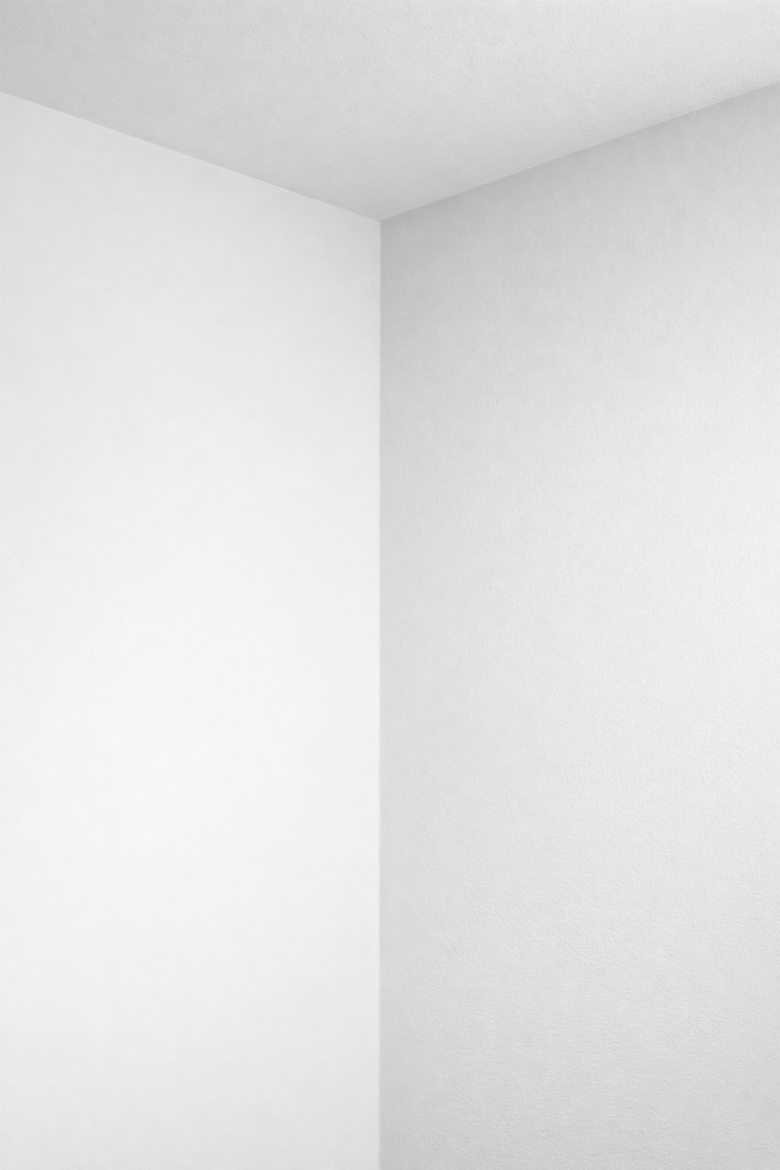 Freshly painted interior walls showing professional handyman paint job results