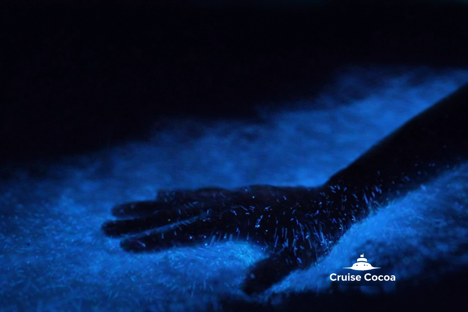 Bioluminescent Waters in Indian River Lagoon