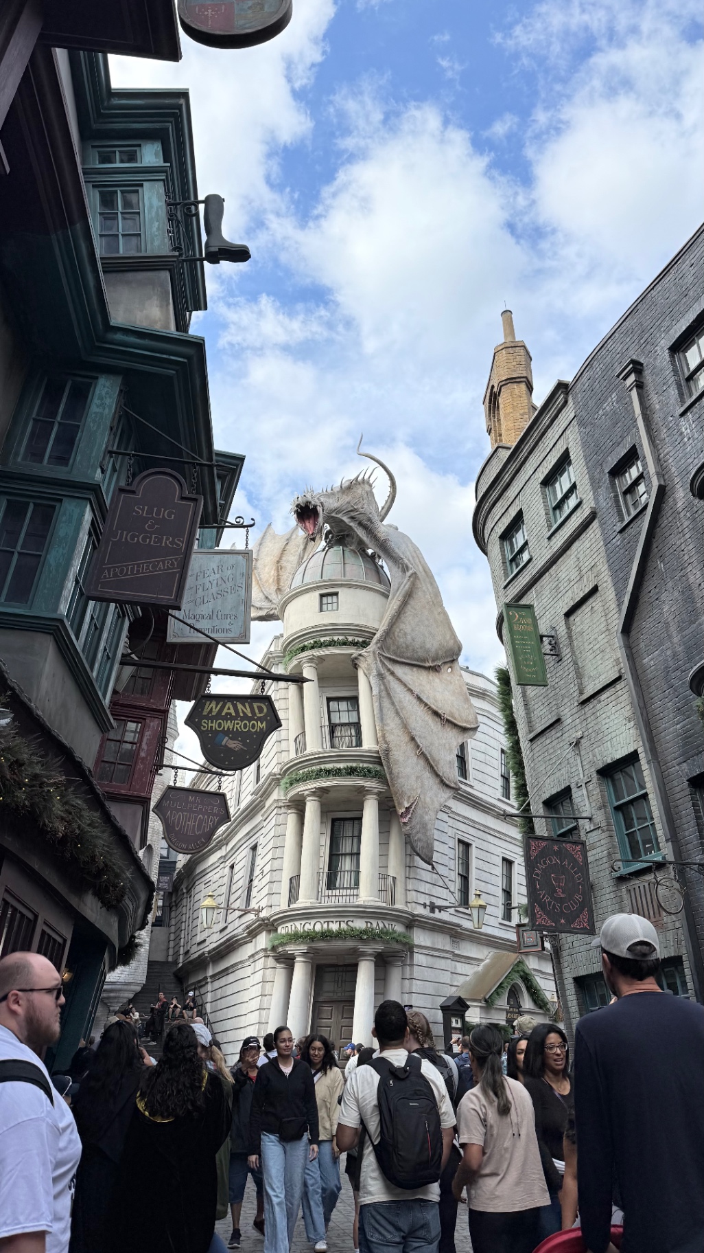 Wizarding World Theme Park Area