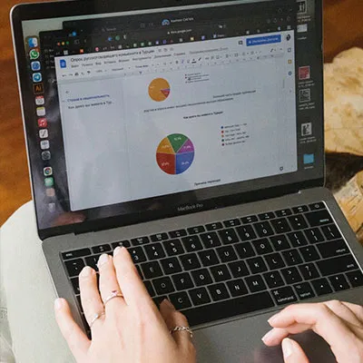 Professional reviewing visa data on a laptop