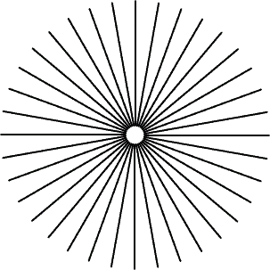 Symmetrical radial burst pattern symbolizing growth