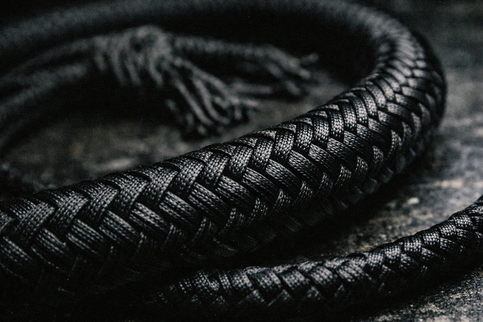 How To Use A Whip: A Professional Upgrade