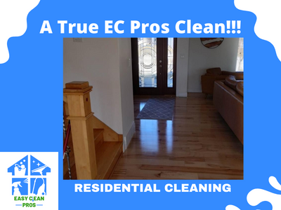 Easy Clean Pros Entryway & Living Room Showcase