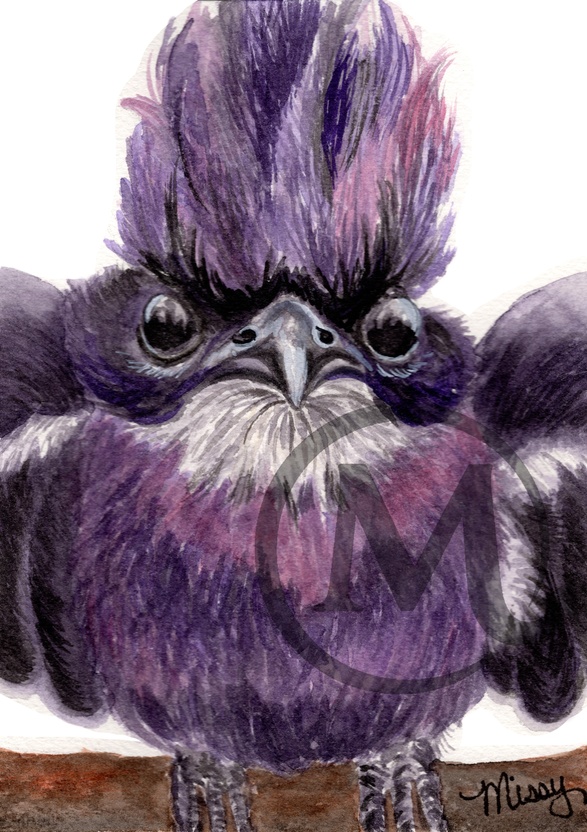 Purple Bird watercolor print (Missy original art)