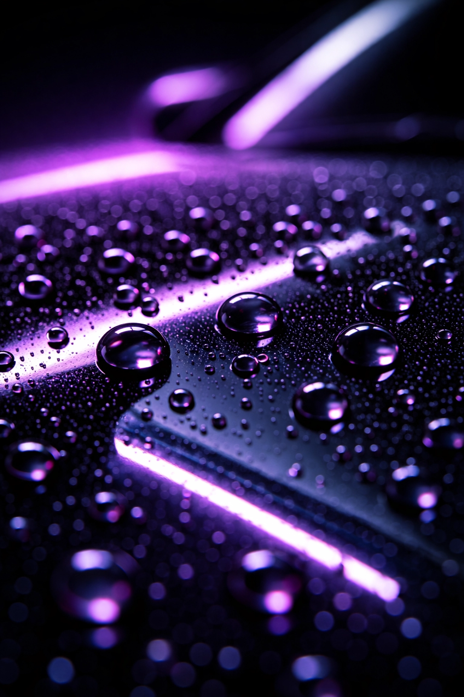 Close-up of water beading on ceramic-coated car hood in Raleigh, demonstrating high gloss and protection