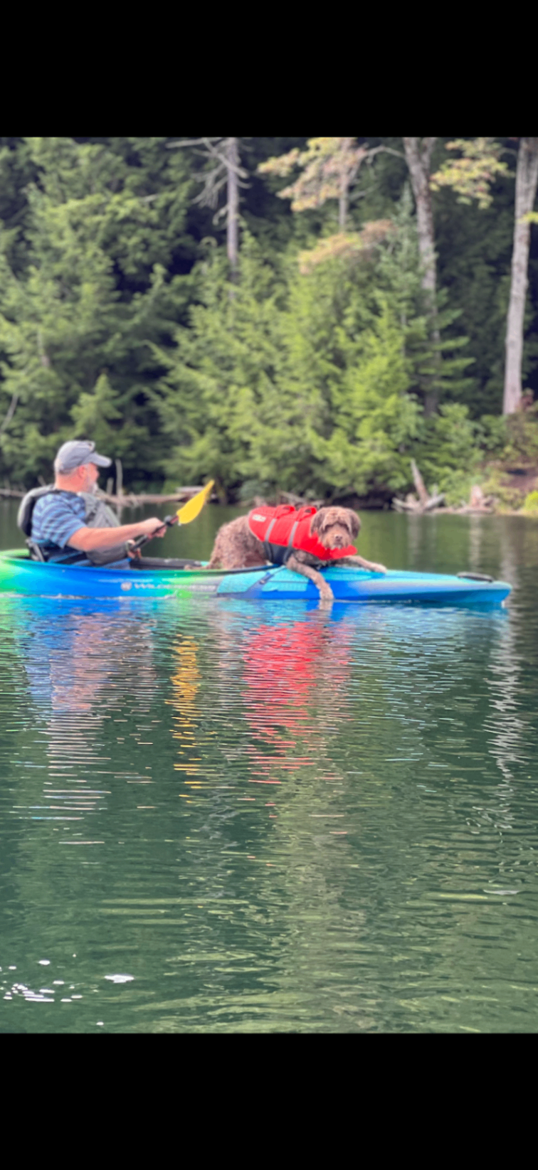 Kayaking with dog in the Poconos