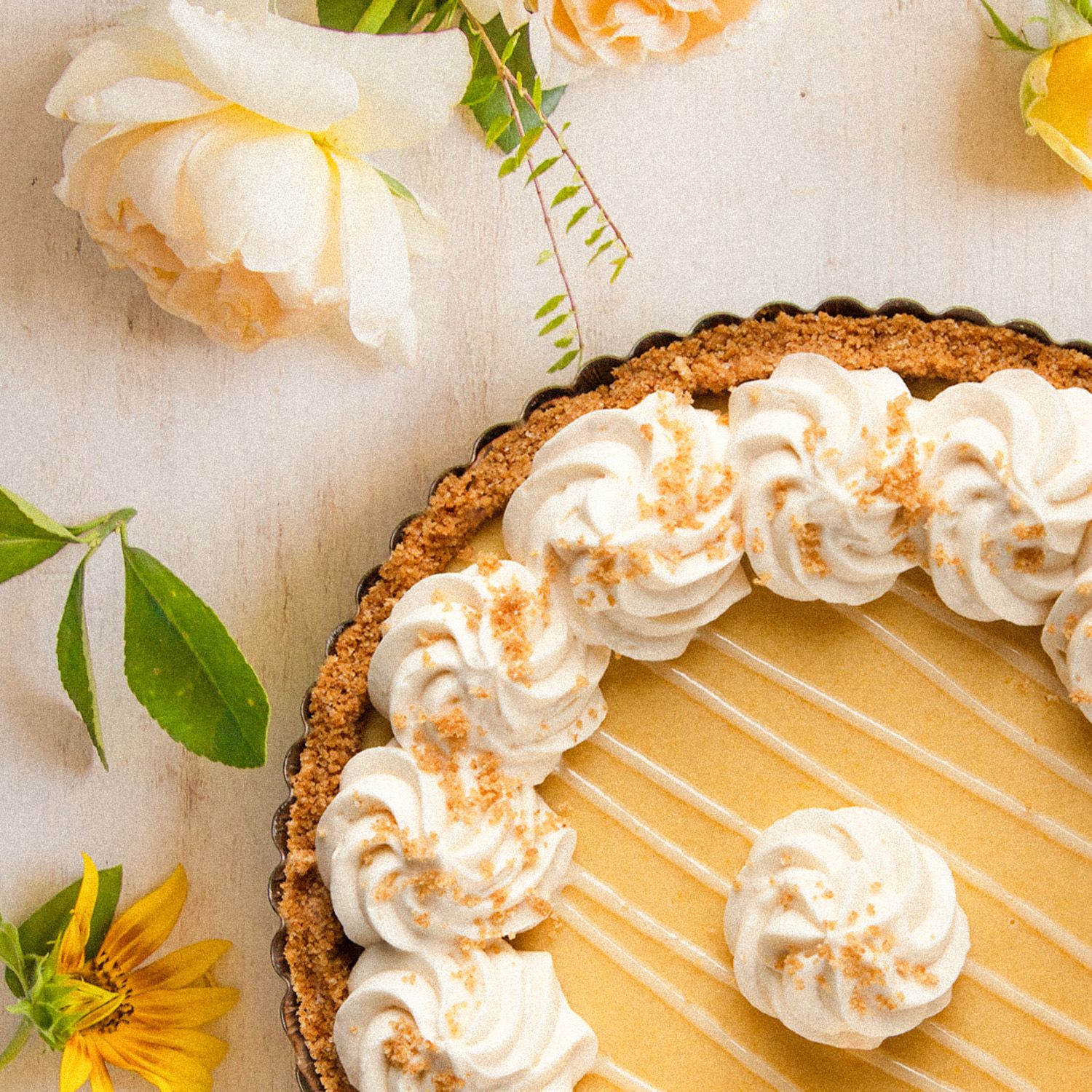 Beautiful Key Lime Pie presentation
