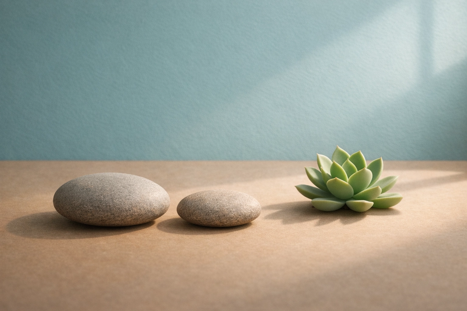 Welcoming Therapy Room