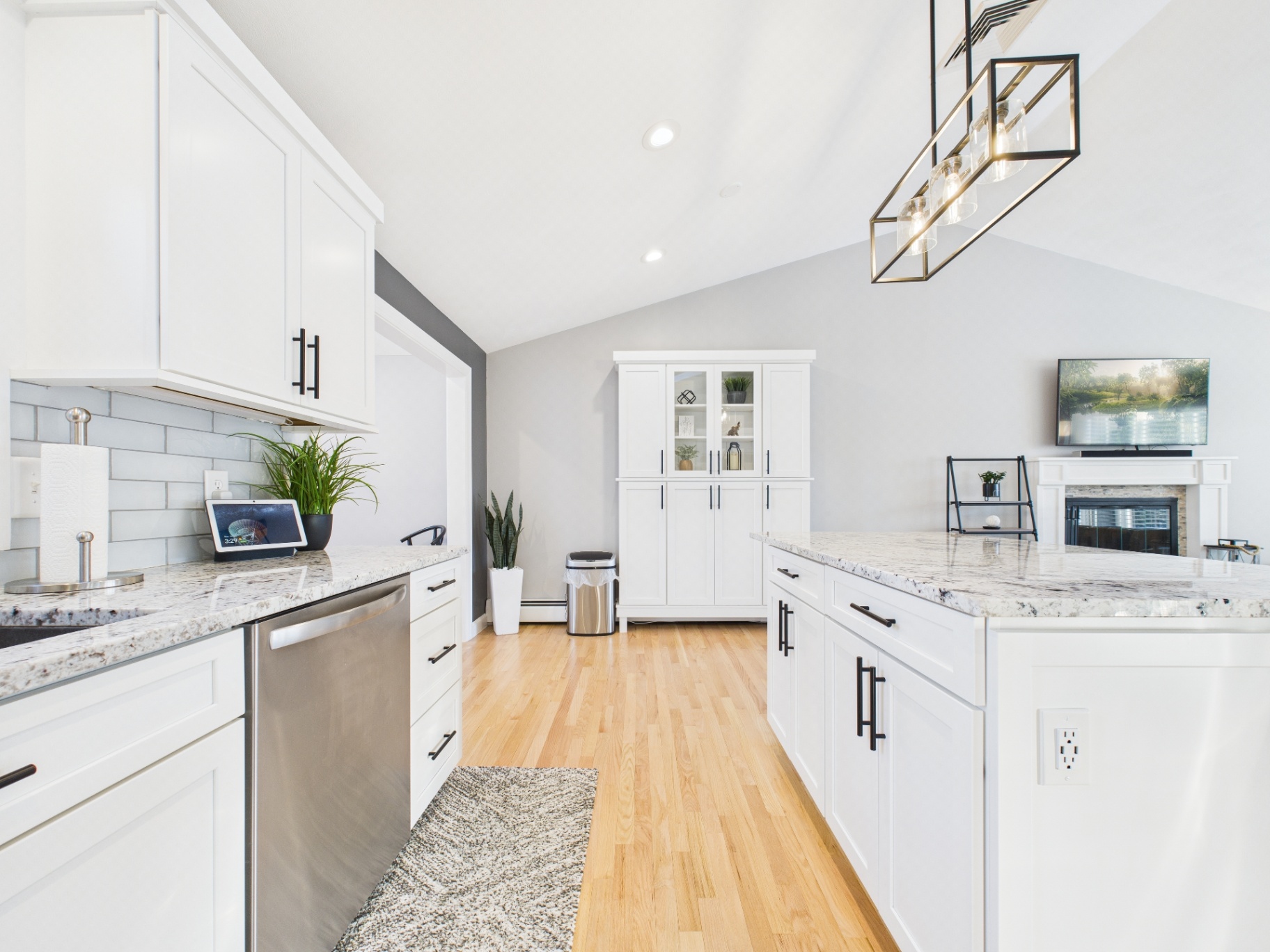 Bright Modern Kitchen and Living Space