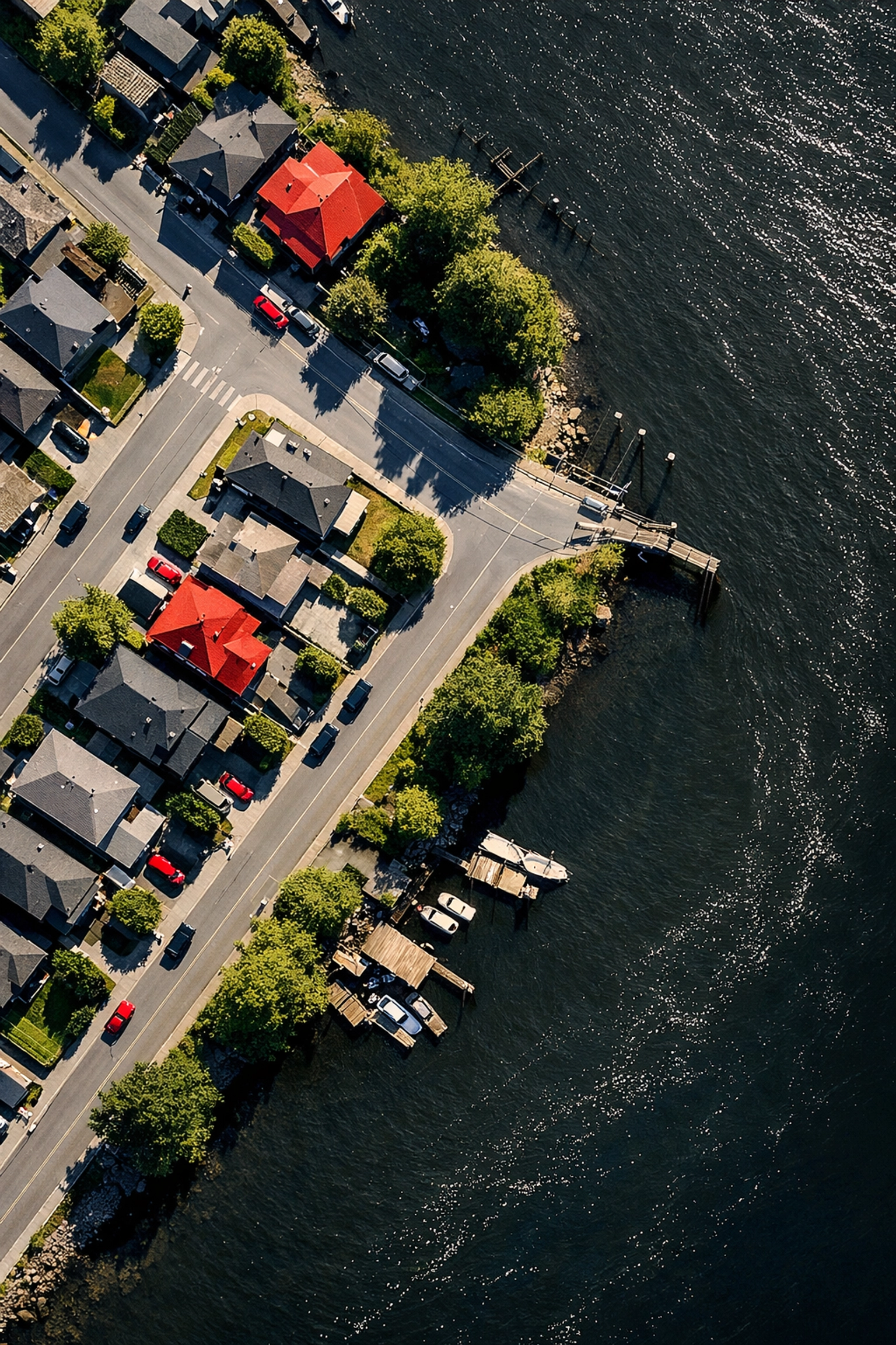 Aerial view of residential Richmond neighborhoods and the Fraser River delta in British Columbia.