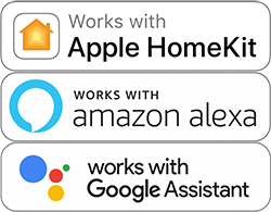 Voice Assistant Compatibility