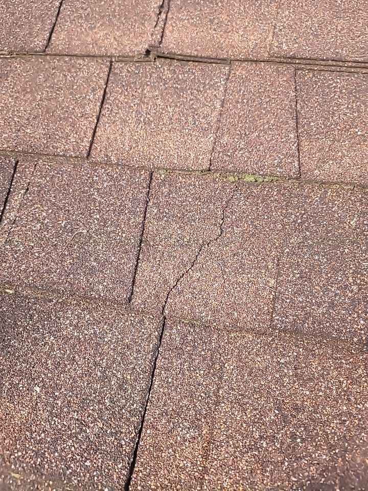 Asphalt Roof Shingles with Damage