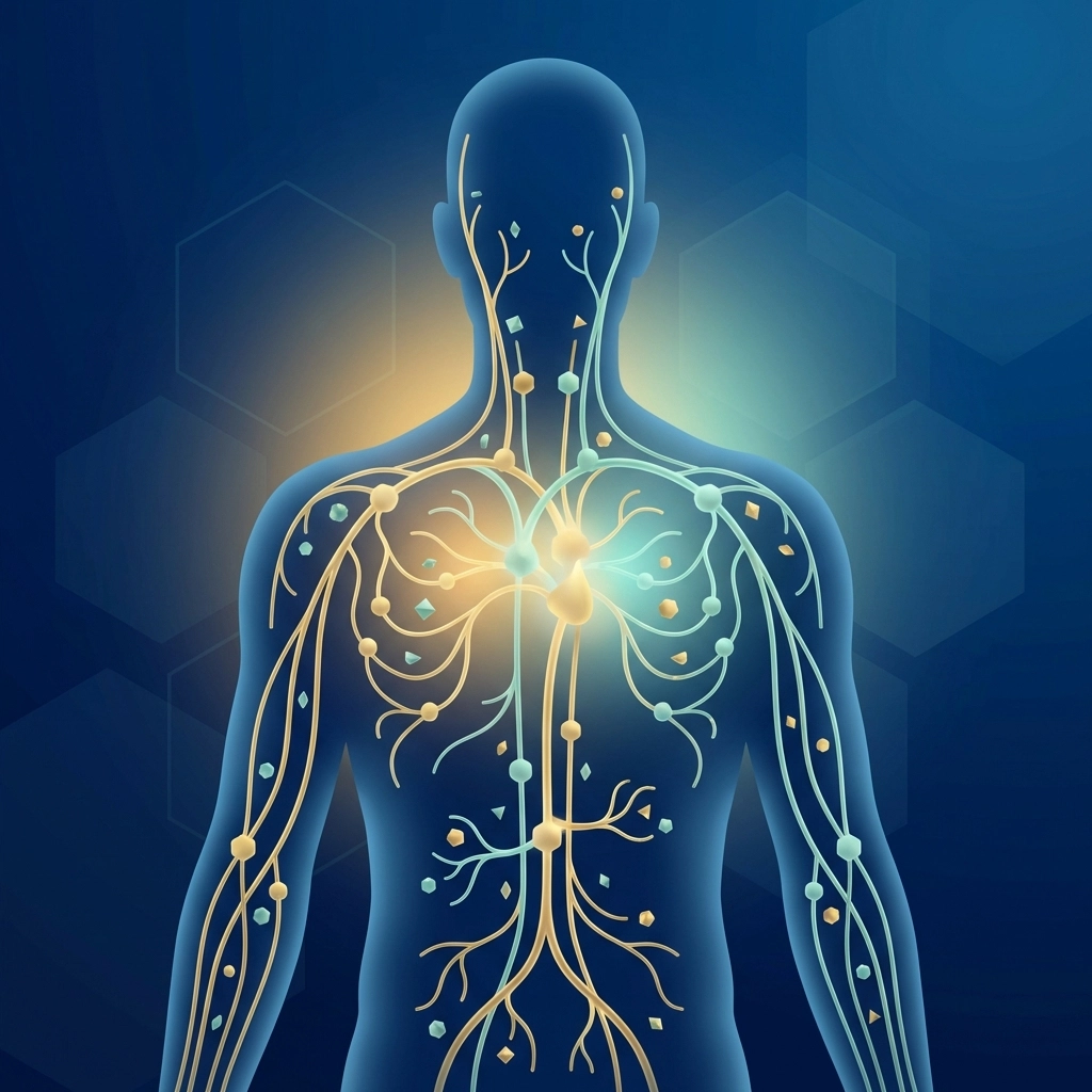 Stylized illustration showing minerals energizing the human immune system for optimal wellness and defense.