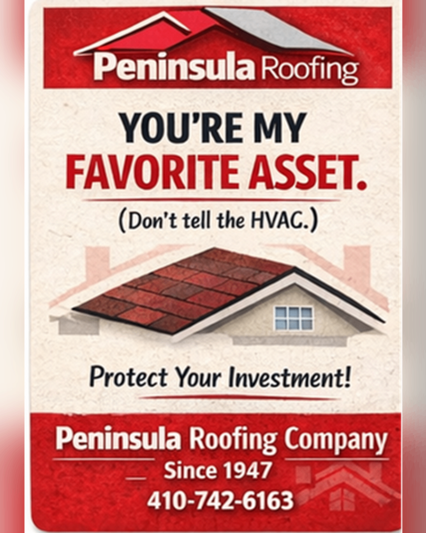 You're my favorite asset